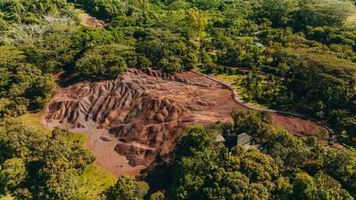 Supporting wildlife conservation in Chamarel, Mauritius, through the protection of native fauna and natural habitats