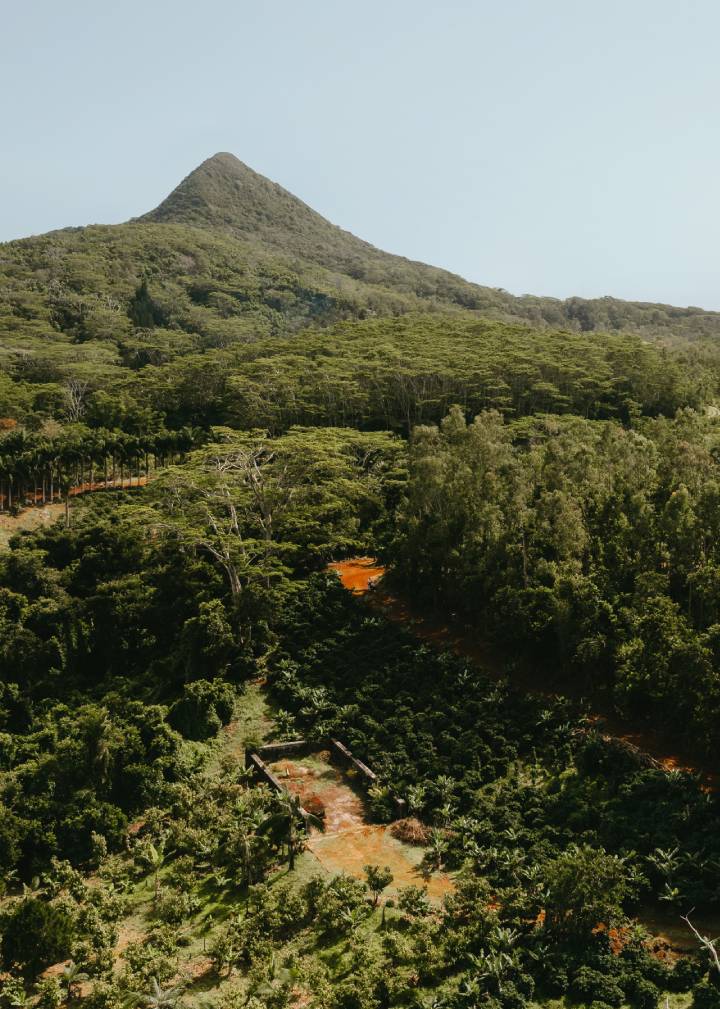 Coffee Plantation Trail