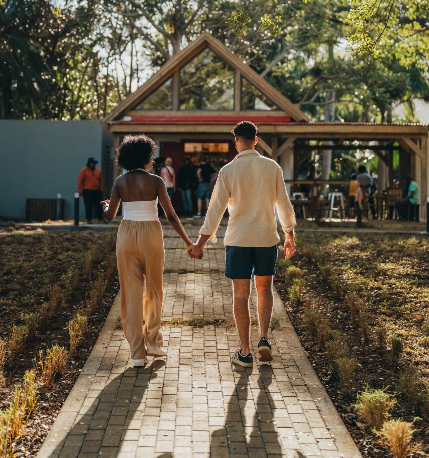 Pause, Explore and Enjoy