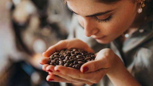 Coffee tasting, exploring the aromas and flavors of local coffee